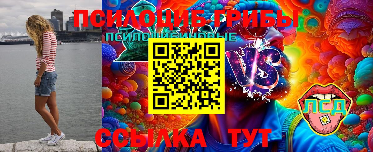 Галлюциногенные грибы прущие грибы Новочеркасск