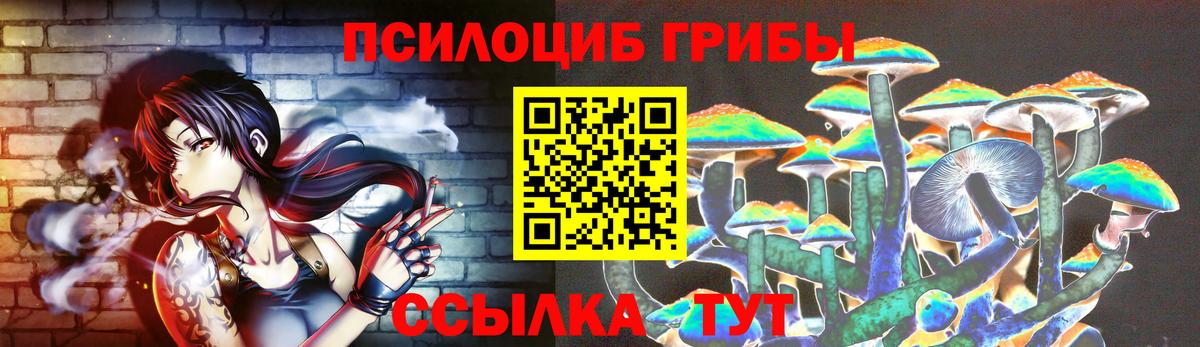 Псилоцибиновые грибы Psilocybine cubensis  Галлюциногенные грибы Psilocybine cubensis  что такое   Новочеркасск  Вход с VPN 